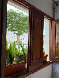 Casa de mis padres