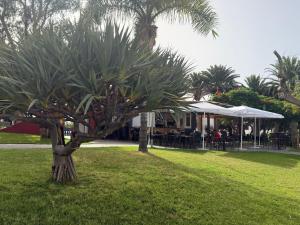 Casa de mis padres
