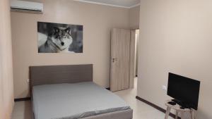SteDi Luxurious Studio