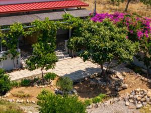 Garden Room with Private Patio Salamis