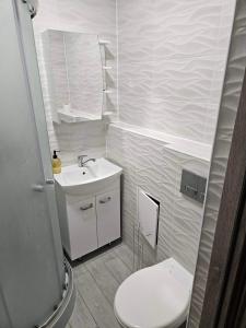 Apartment at Vitolu