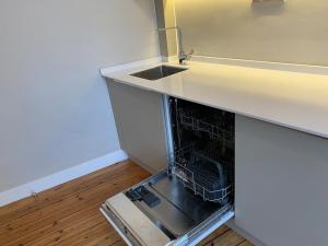 VIP Luxury renovated historical flat at Taksim