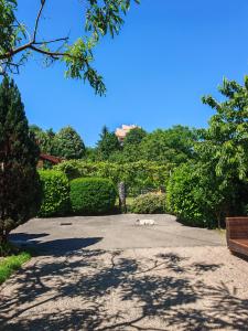 Spacious apartment with garden and free parking