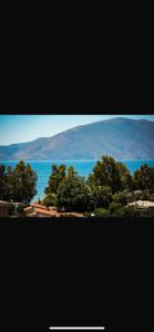 Hotel Dini
