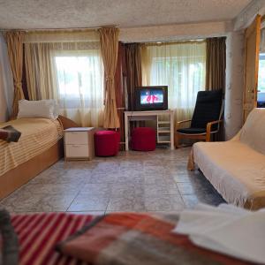 Apartament de vacanta Criss