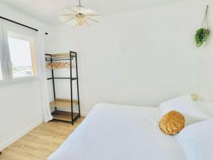 CR320-016Appartement 2 pièces - CANET EN ROUSSILLON