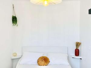 CR320-016Appartement 2 pièces - CANET EN ROUSSILLON