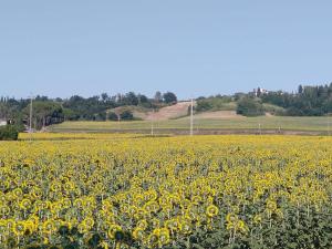 La Libellula