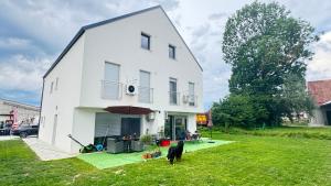 Villa AMULET - Spacious 3BR Villa near Postojna Cave