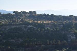 Green and Blue Horizon