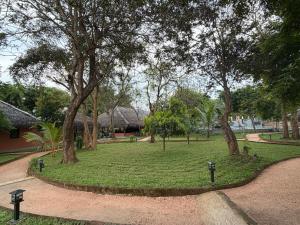 La Cloudz Sigiriya