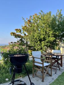 Aethra Garden - Green Retreat