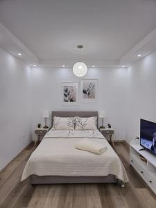Alfi apartments 1
