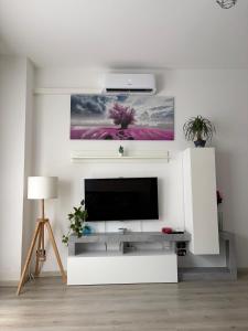 Zuly House