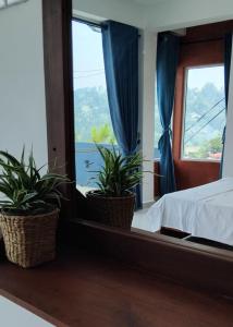 Seth Summer Mountain View Homestay