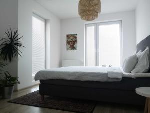 Apartmán Na Máchovce