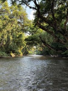 DTahan Campsite Taman Negara