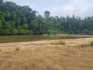 DTahan Campsite Taman Negara