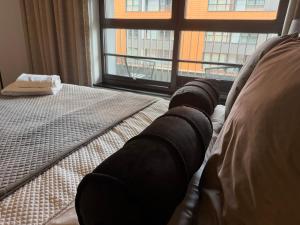 Apartsfera Premium & Food Hall