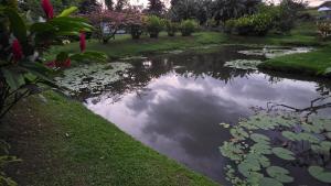 Casa Jacana en complejo Casas del Lago