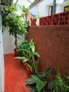 Kasi Heritage Home near Padmanabha Swami Temple 5 minute walk