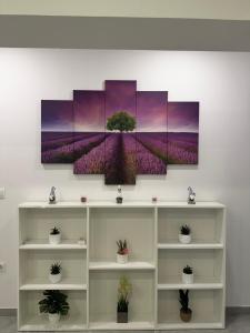 M&M Apartman