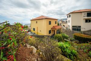 Flowers Island House 7