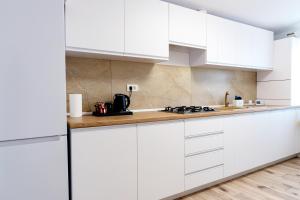 Luxury 3 Room Apartments Courtyard Casa Agigea