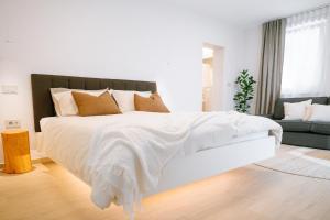 Apartment Likar
