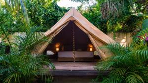 Shamalay - Nomad Experience