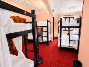 Birds Nest Hostel