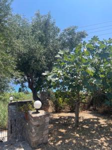 Olive & Sea Villa Koroni