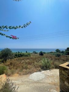 Olive & Sea Villa Koroni