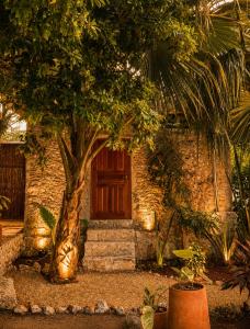 Shamalay - Nomad Experience
