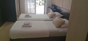 Luxury Apartment