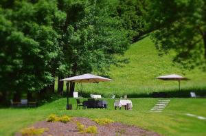 Hotel Orso Grigio