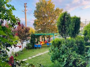 Paradise House
