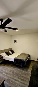 EXECUTIVE SUITE en SIGUATEPEQUE