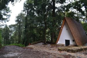 Cabaña sueño real