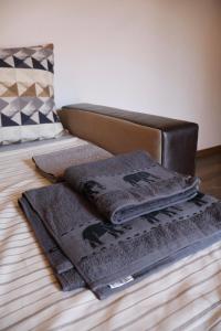 Central apartments Pleven