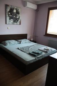 Central apartments Pleven