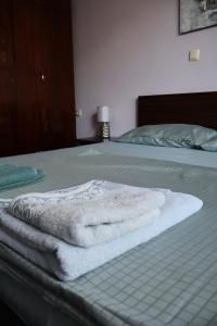 Central apartments Pleven