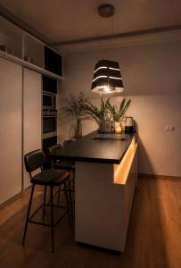 01 Apartment Lviv Сenter Сity