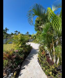Coral House - Luxury 3BR Villa - Private Pool - 30 min from MBJ Airport!