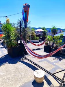 Roof Top Hostel