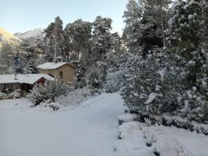 El Cauquen