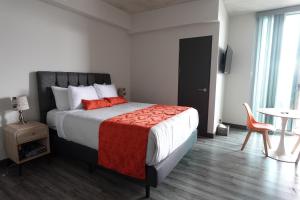Studio equipado Sabana Sur Negocios turismo y salud