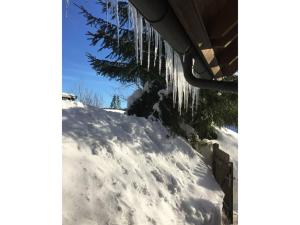 Holiday home in Feldberg with swimming pool