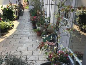 Holiday apartment with 1 bedroom