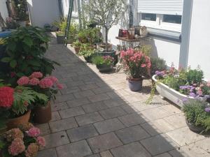 Holiday apartment with 1 bedroom